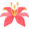 问鼎娱乐 logo