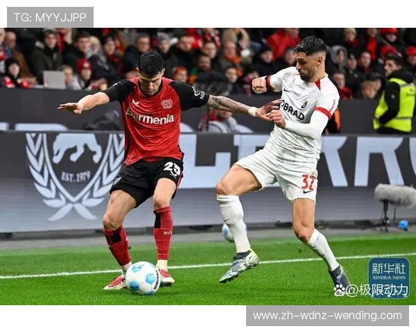 球队进德甲视频:各球队晋级德甲的关键比赛回顾 球队进德甲视频:各球队晋级德甲的关键比赛回顾